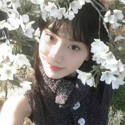 理性和感性